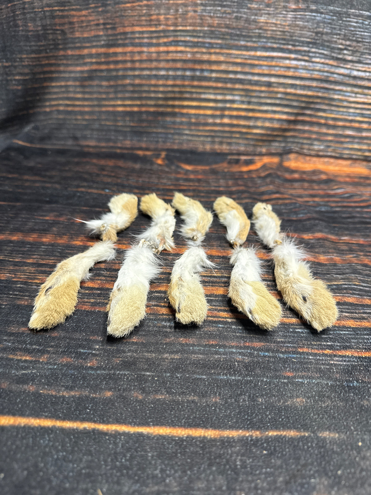 10 Rabbit front feet art animal mount repair Witchcraft voodoo art supply unique craft decor cured jackalope foot fishing lure fly tying