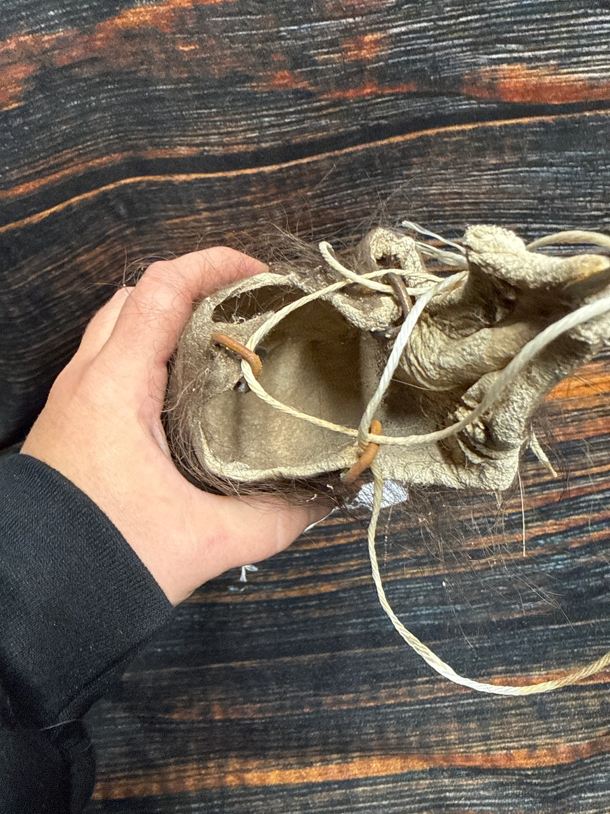 Buffalo scrotum real Bison Ball bag oddity nutsack gag gift winter bag art Odd man cave cabin decor conversation piece hide nut sack rare