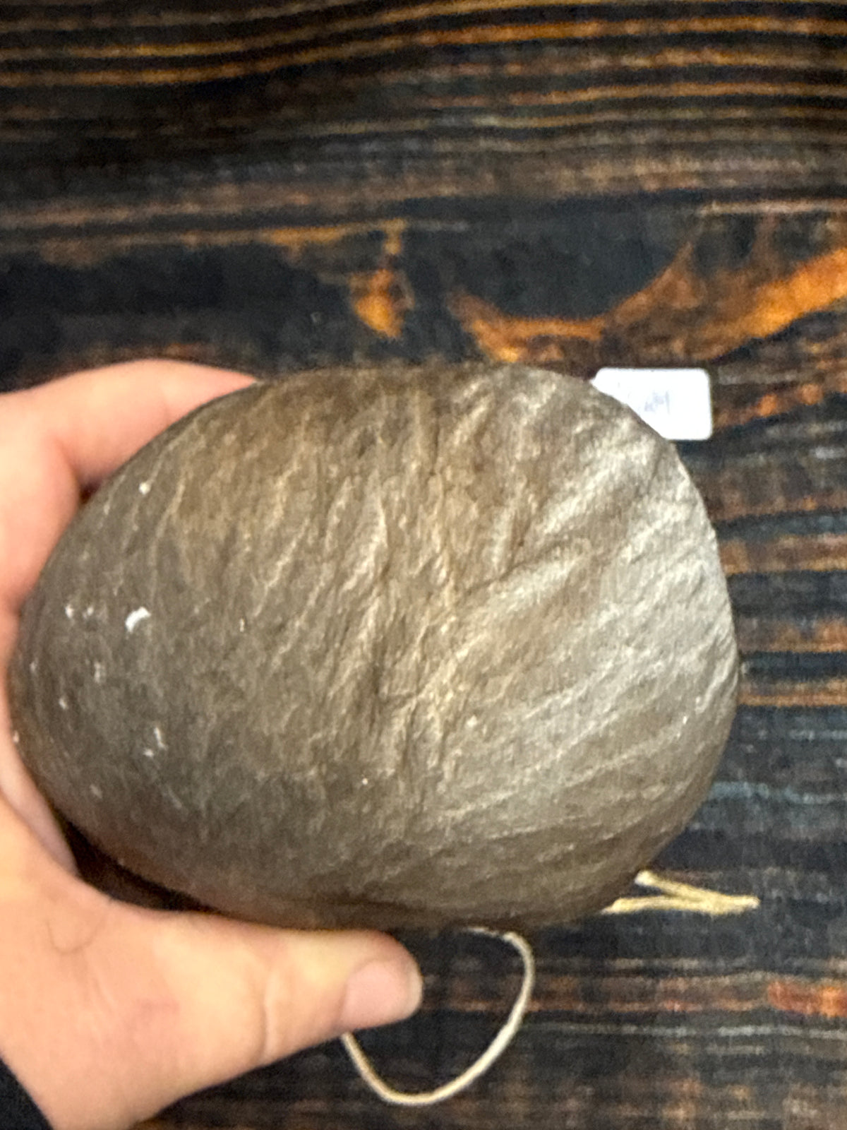 Buffalo scrotum real Bison Ball bag oddity nutsack gag gift winter bag art Odd man cave cabin decor conversation piece hide nut sack rare (Copy)
