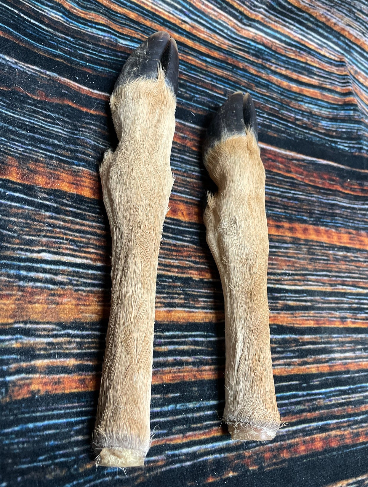 2 Straight Deer feet cured knife cane handle Gun Rack Witch craft Animal Mount antler Art Craft supplies voodoo gothic renaissance festival