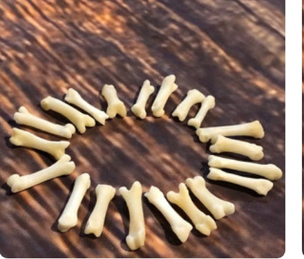 20 real red fox toes bone mountain man craft supplies jewelry earring gothic claws native American necklace choker bead boy scout project