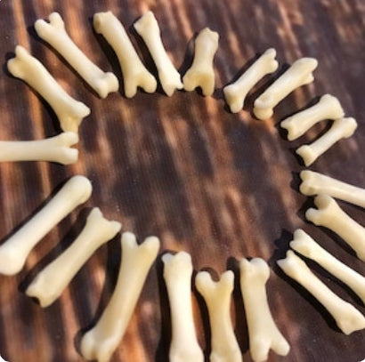 20 real red fox toes bone mountain man craft supplies jewelry earring gothic claws native American necklace choker bead boy scout project