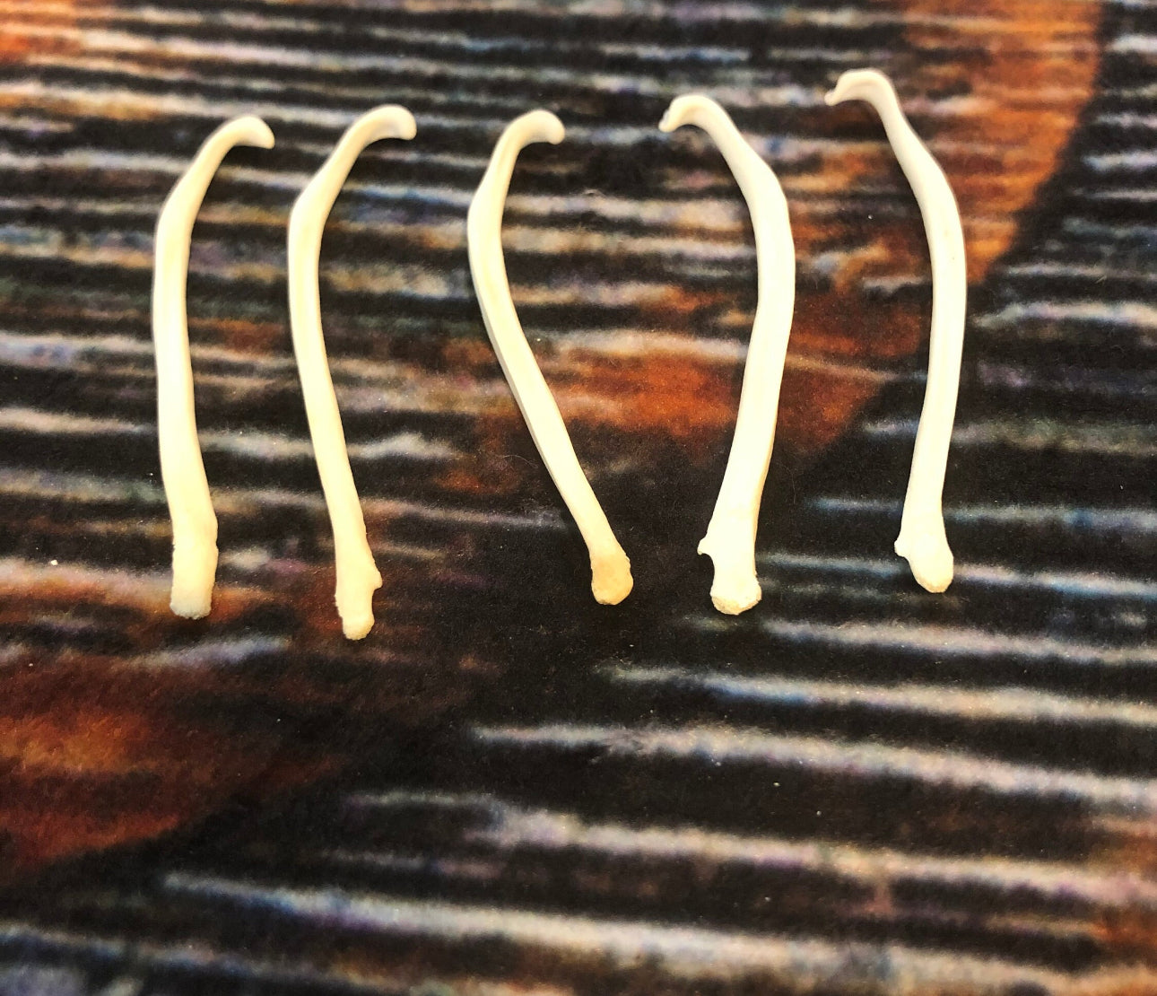 5 Real Mink Baculum Penis Bone Animal mount Oddity Dick Christmas birthday gag Gift fish hook Art craft supplies Materials Collection