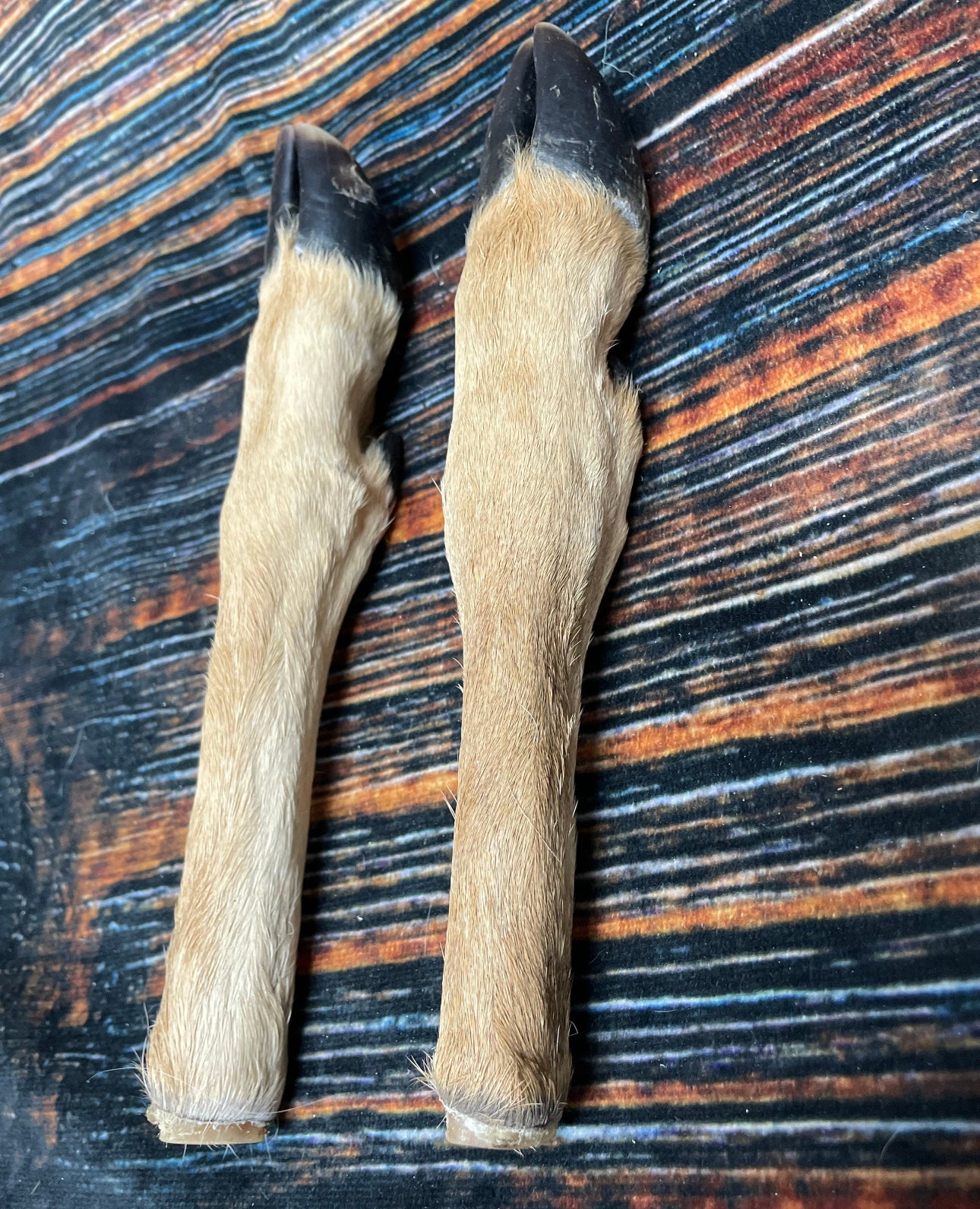 2 Straight Deer feet cured knife cane handle Gun Rack Witch craft Animal Mount antler Art Craft supplies voodoo gothic renaissance festival
