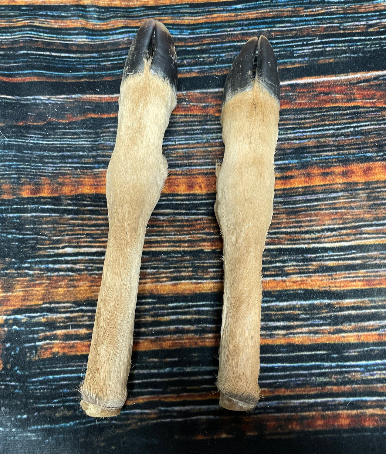 2 Straight Deer feet cured knife cane handle Gun Rack Witch craft Animal Mount antler Art Craft supplies voodoo gothic renaissance festival
