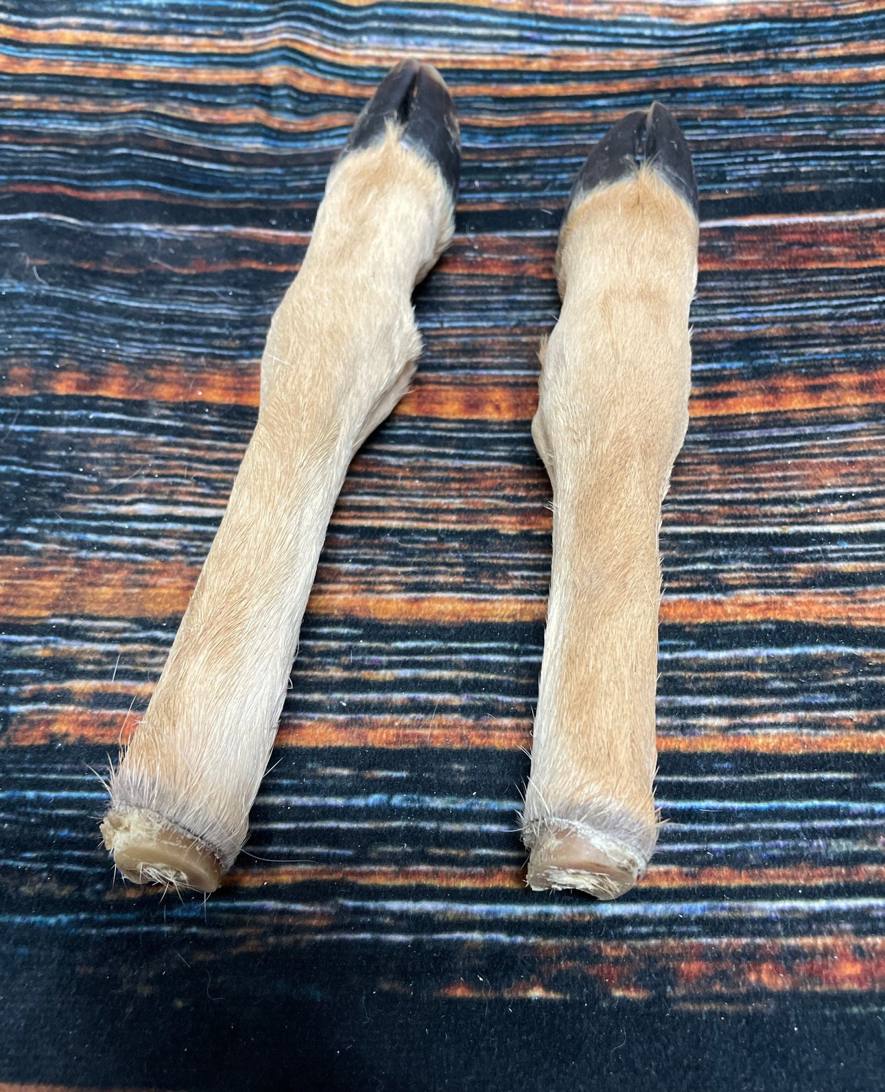2 Straight Deer feet cured knife cane handle Gun Rack Witch craft Animal Mount antler Art Craft supplies voodoo gothic renaissance festival