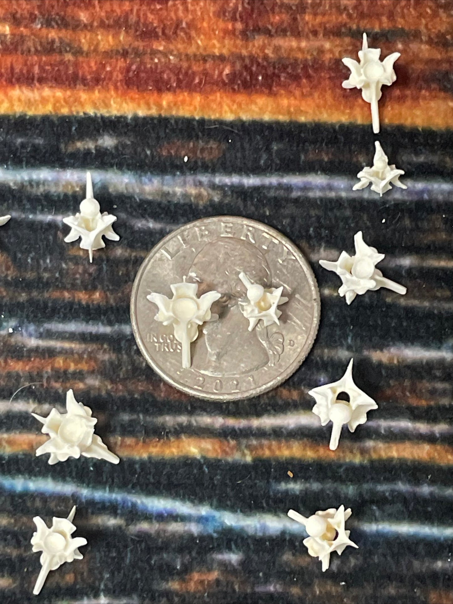 20 Real Rattlesnake Vertebrae Vertebrea Bone