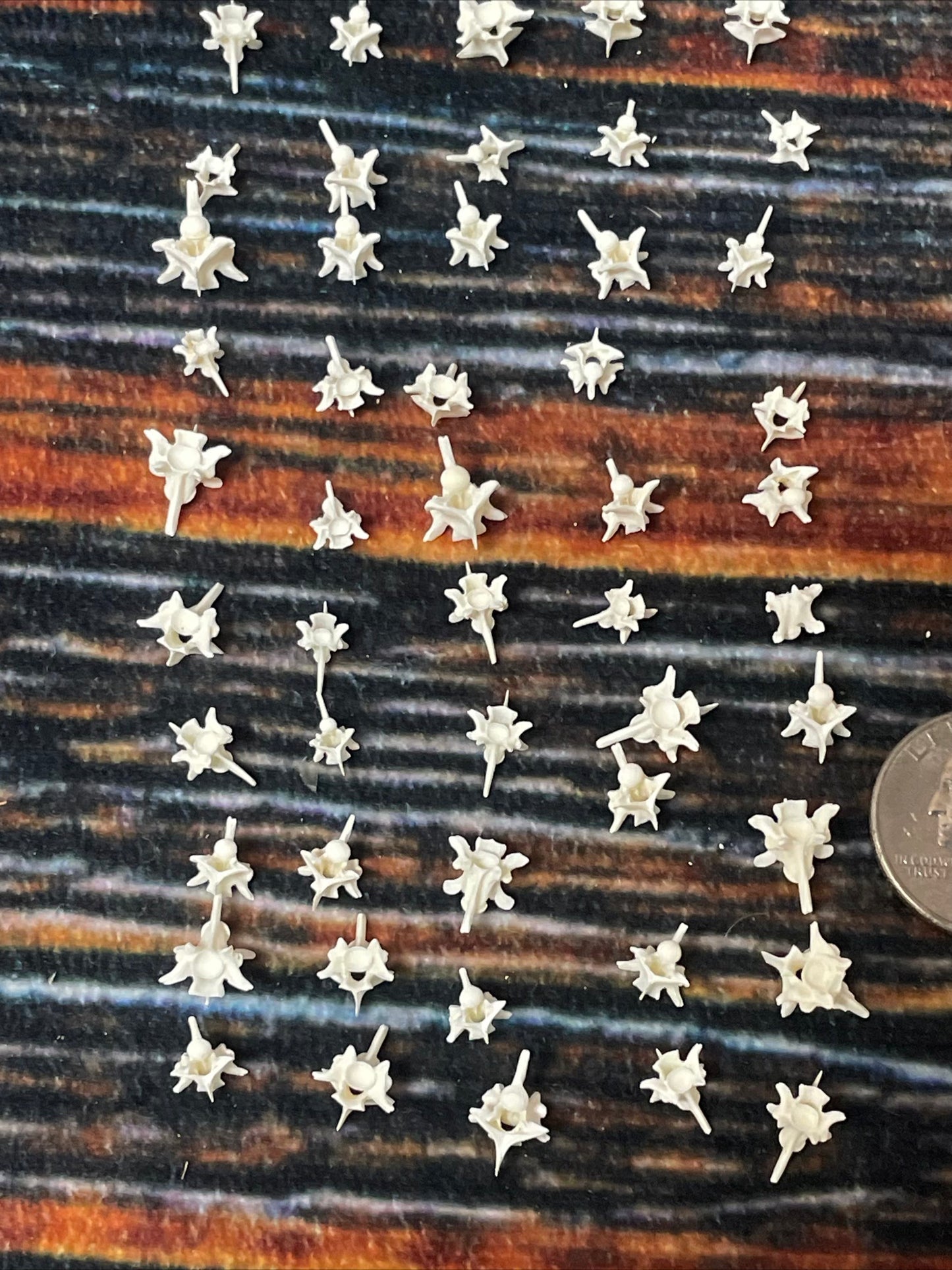 100 Real Rattlesnake Vertebrae Vertebrea Bones