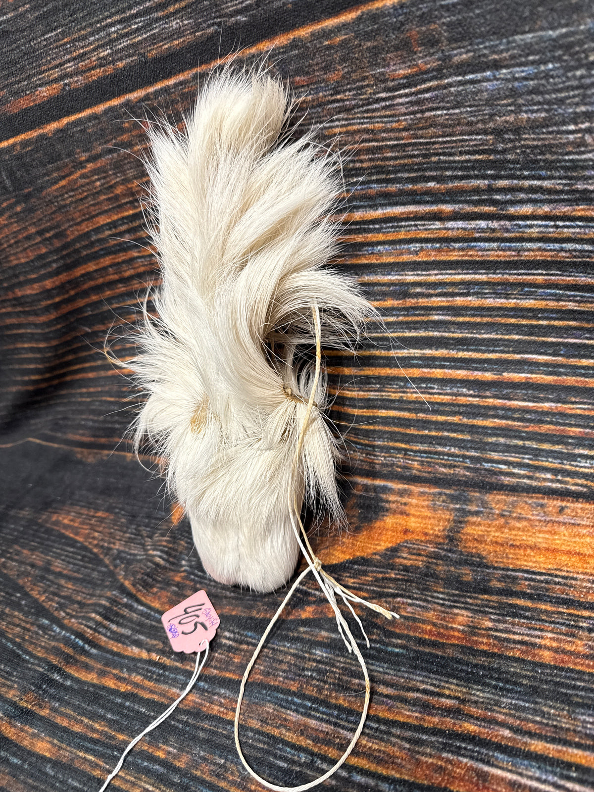 Real  Whitetail Deer Scrotum Nut Sac Taxidermy Oddities Unique Gag Gift Bag Joke