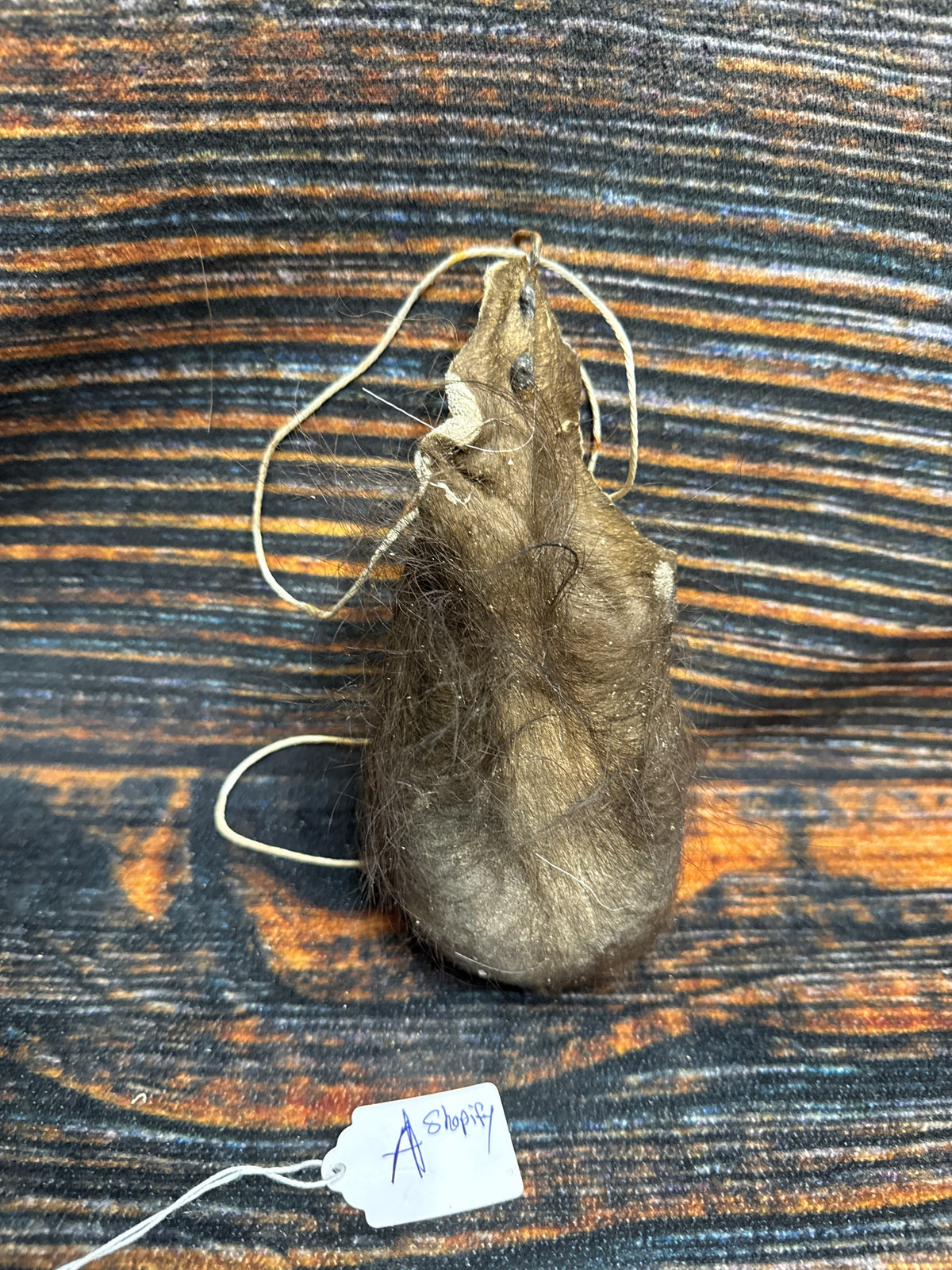 Buffalo scrotum real Bison Ball bag oddity nutsack gag gift winter bag art Odd man cave cabin decor conversation piece hide nut sack rare