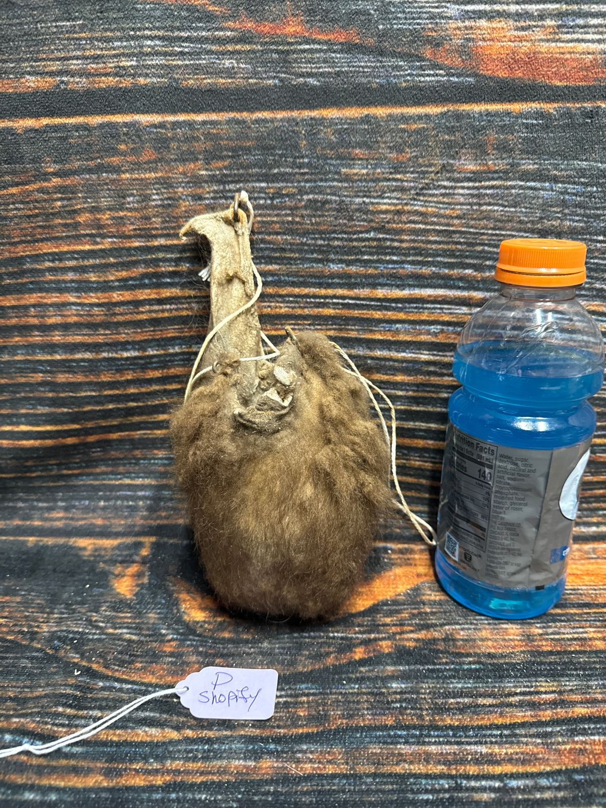 Buffalo scrotum real Bison Ball bag oddity nutsack gag gift winter bag art Odd man cave cabin decor conversation piece hide nut sack rare (Copy 3)