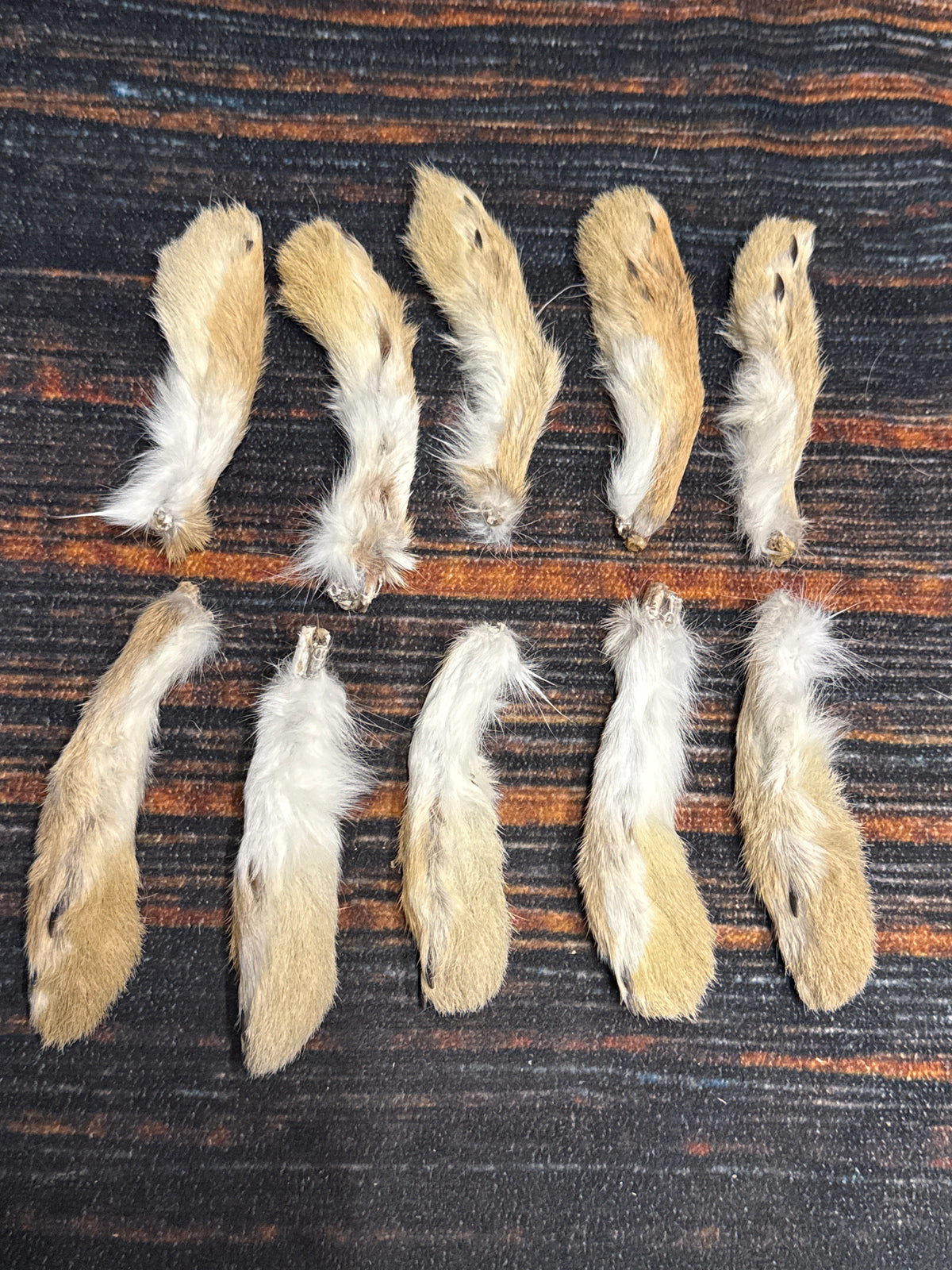 10 Rabbit front feet art animal mount repair Witchcraft voodoo art supply unique craft decor cured jackalope foot fishing lure fly tying