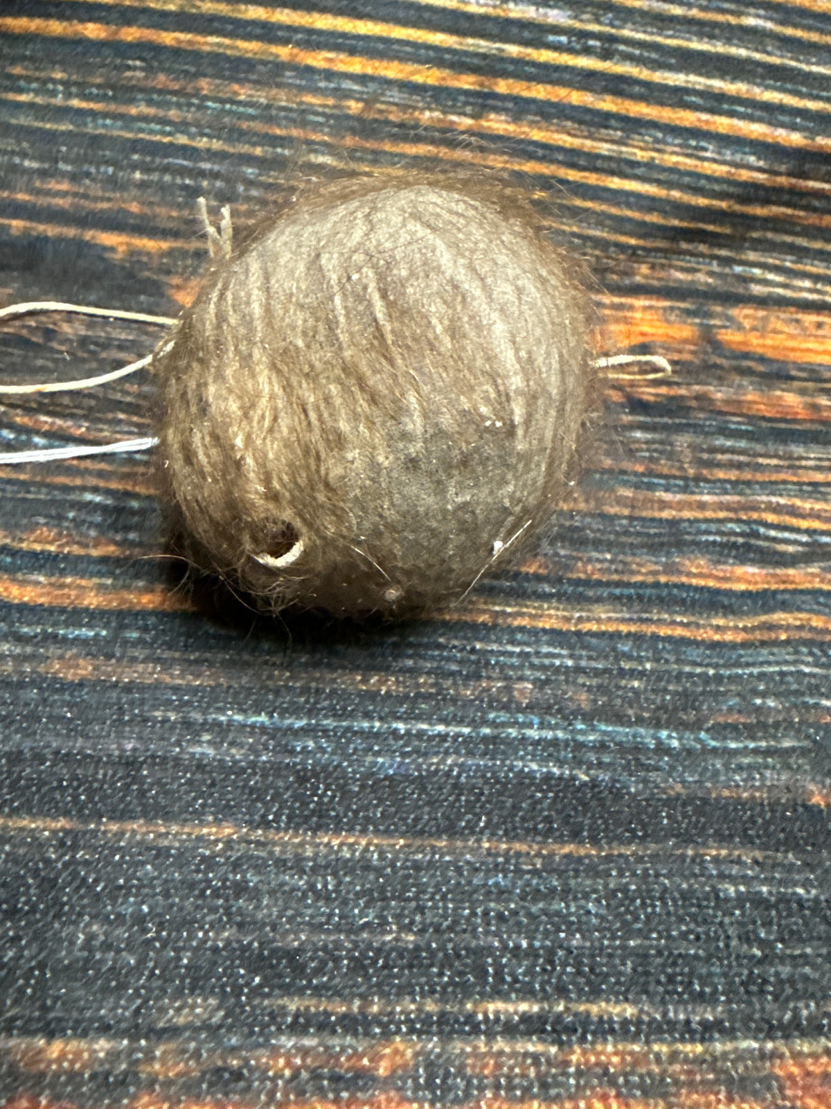 Buffalo scrotum real Bison Ball bag oddity nutsack gag gift winter bag art Odd man cave cabin decor conversation piece hide nut sack rare