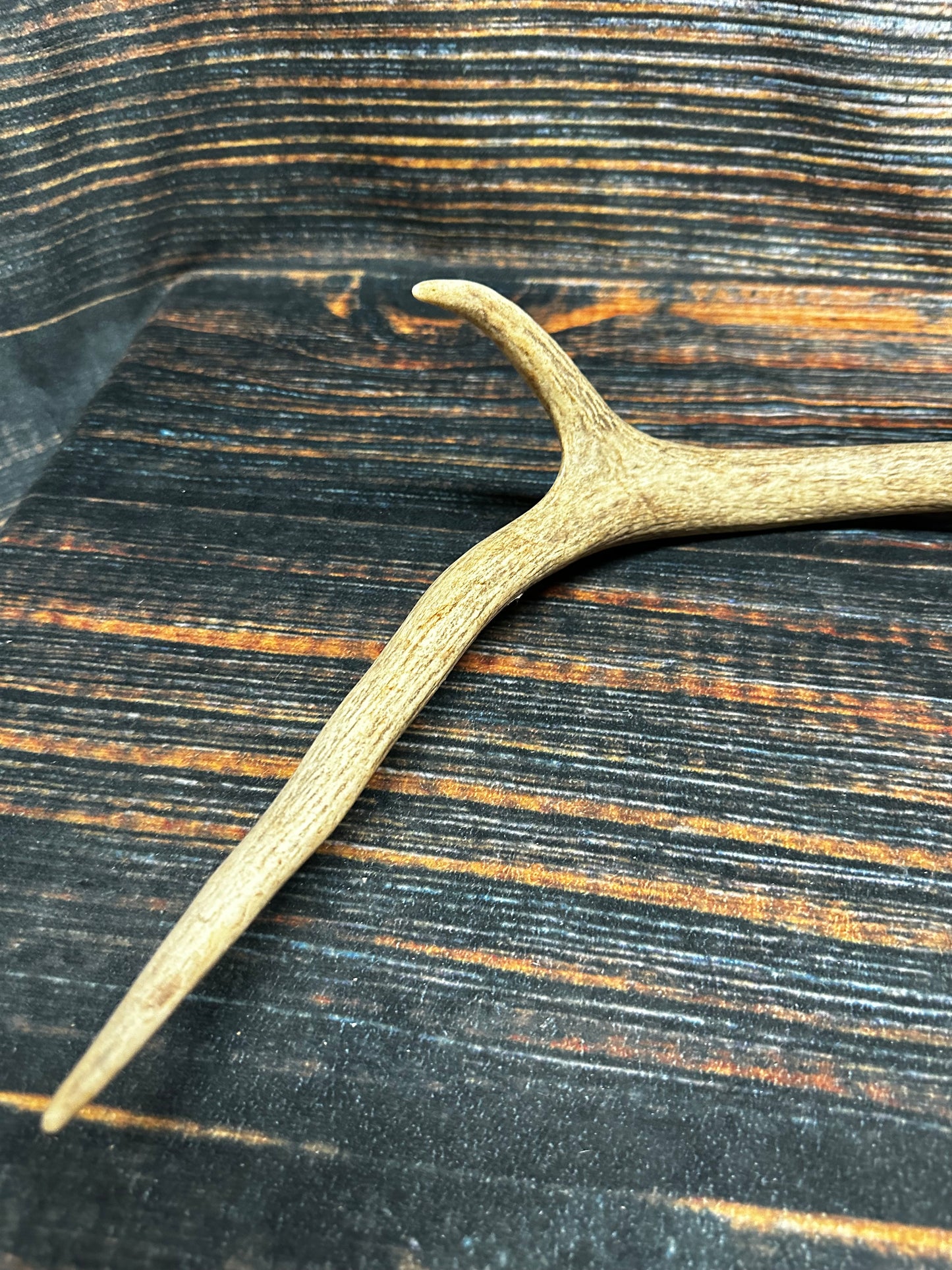 Wild Elk Shed Antler Horn Unique Christmas Gift art craft yard wedding decoration Halloween she shed man cave western animal self standing