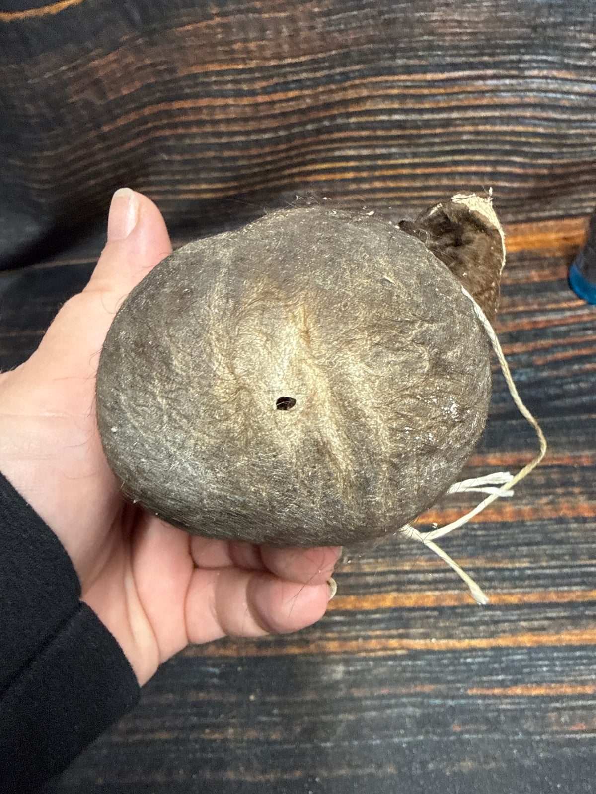 Buffalo scrotum real Bison Ball bag oddity nutsack gag gift winter bag art Odd man cave cabin decor conversation piece hide nut sack rare (Copy 2)