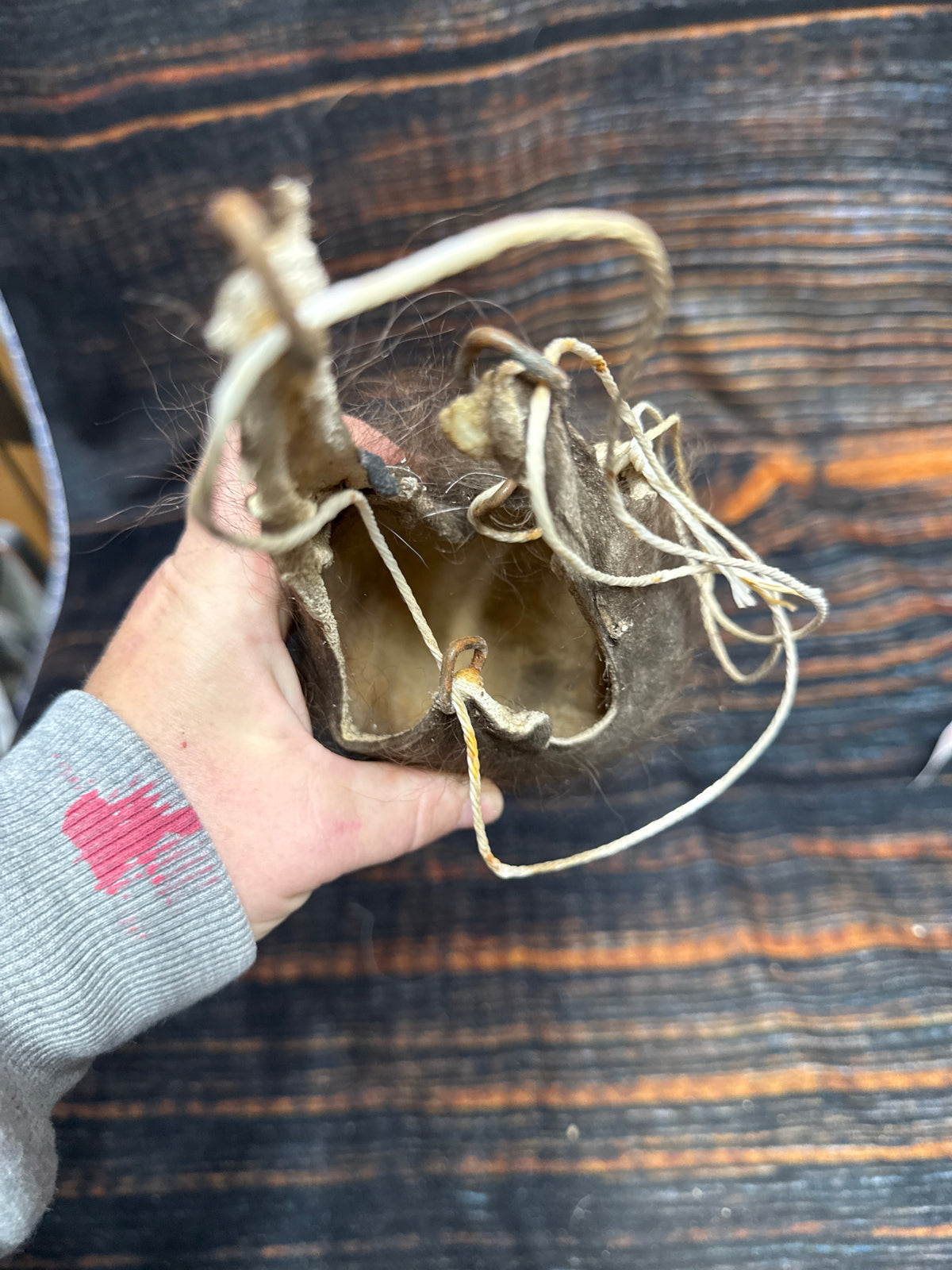 Buffalo scrotum real Bison Ball bag oddity nutsack gag gift winter bag art Odd man cave cabin decor conversation piece hide nut sack rare (Copy 3)