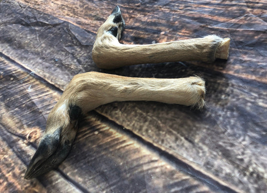 2 Bent Deer feet cured knife cane handle Gun Rack Witch craft Animal Mount antler Art Craft supplies voodoo gothic renaissance festival foot