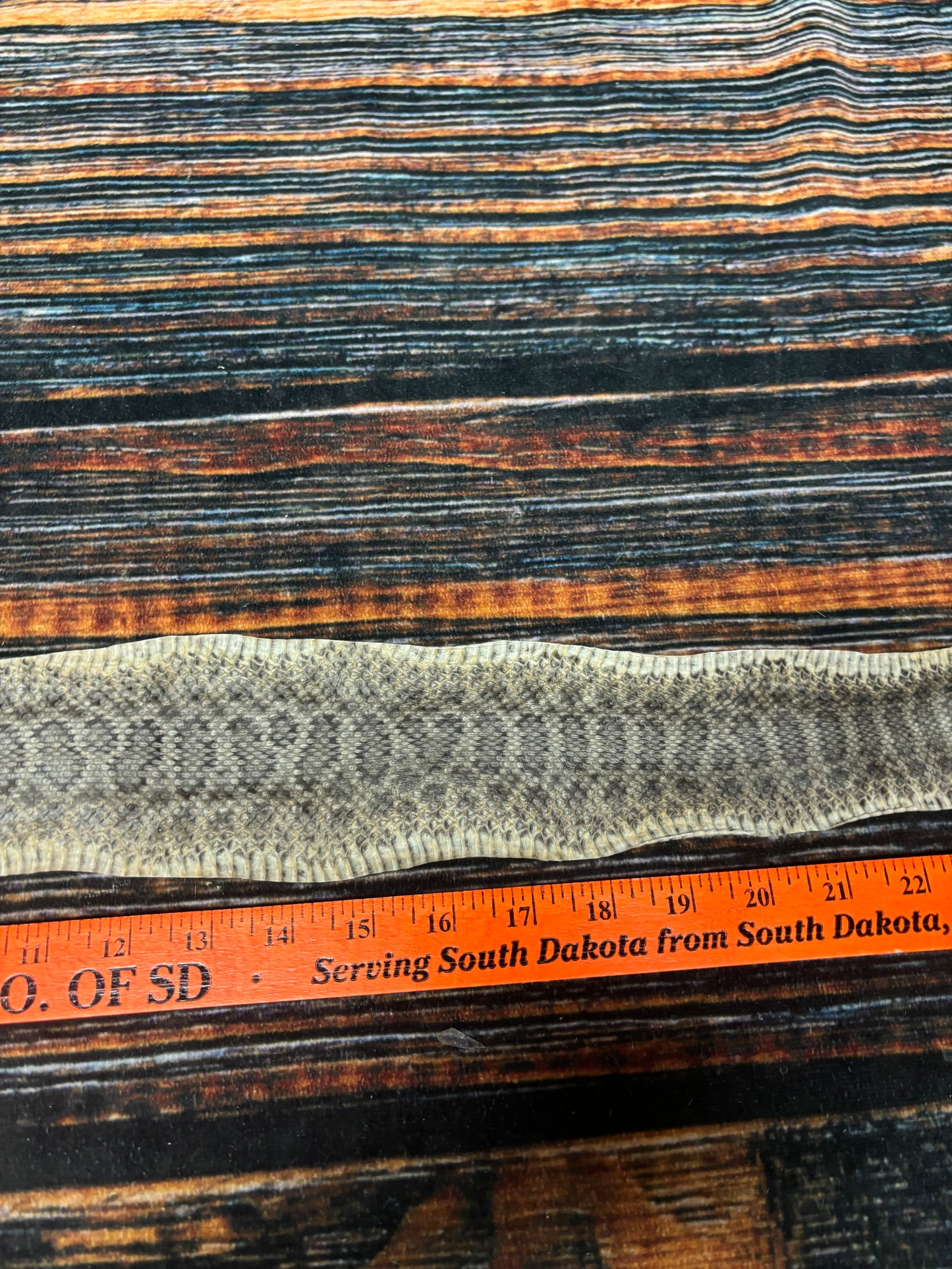 REAL rattlesnake skin prairie rattler hide dry tanned bow wrap blank art craft Supply Educational Renaissance costume Oddity gothic rattle